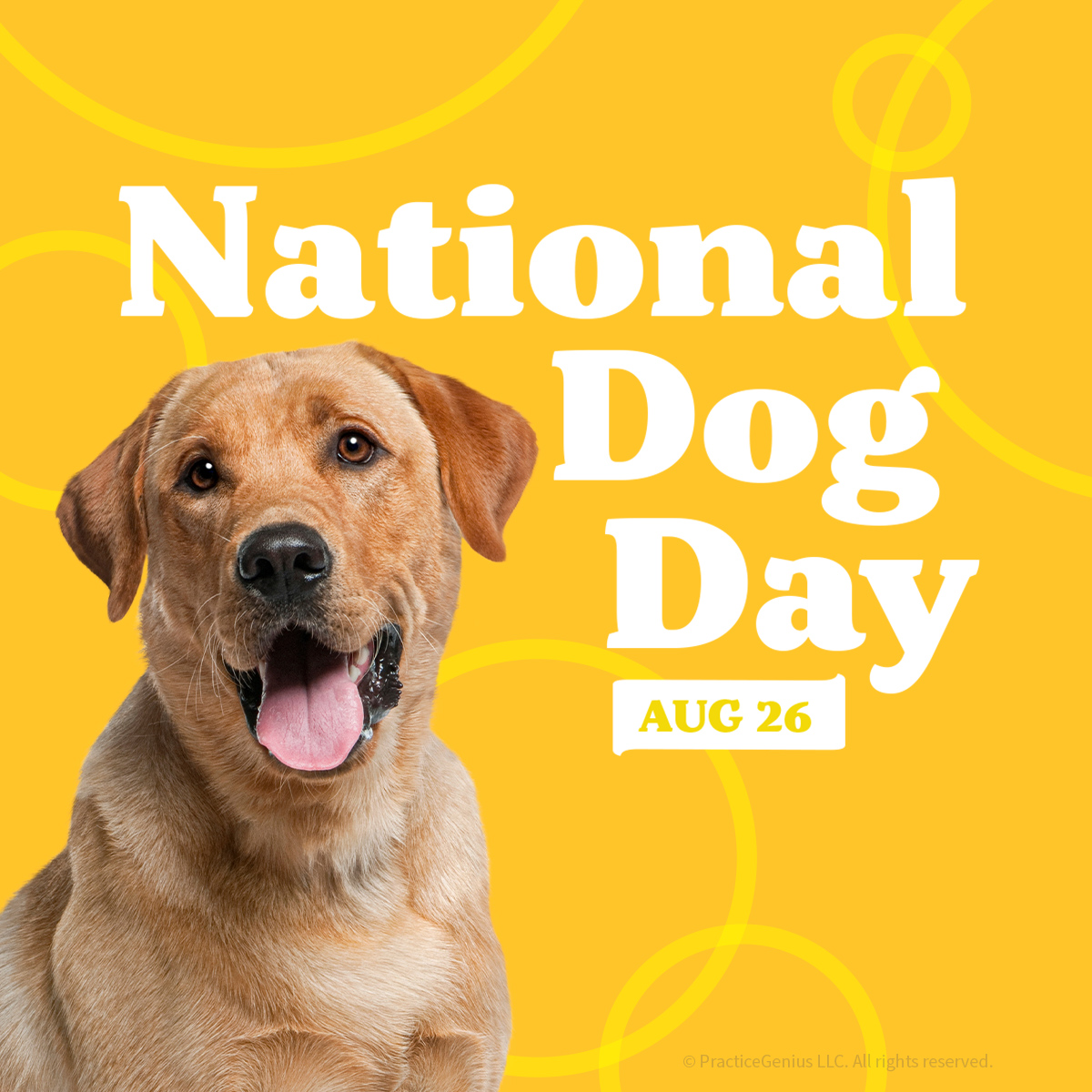 National_Dog_Day.jpg