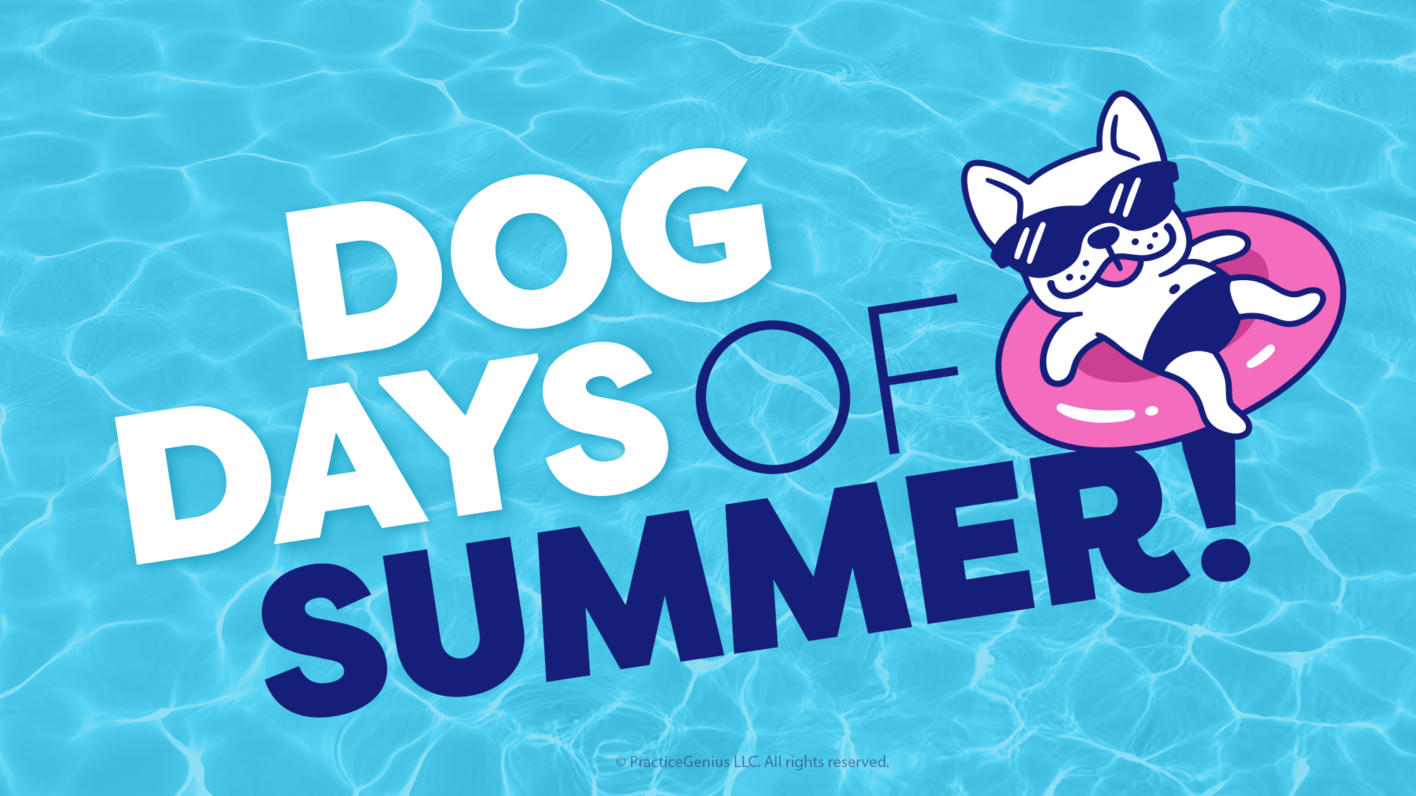 Aug_HAP_Surveys_DogDays.jpg